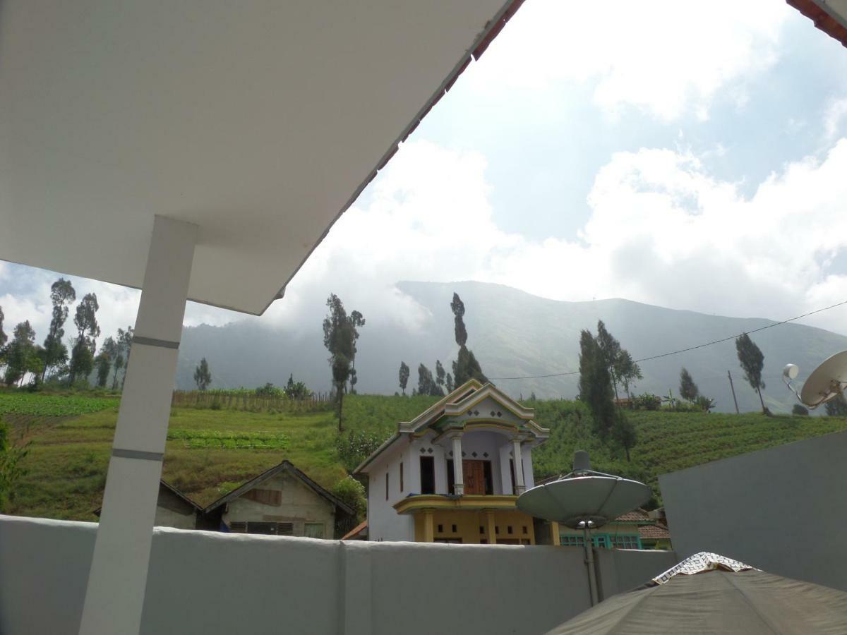 Savana Guesthouse Bromo Bagian luar foto