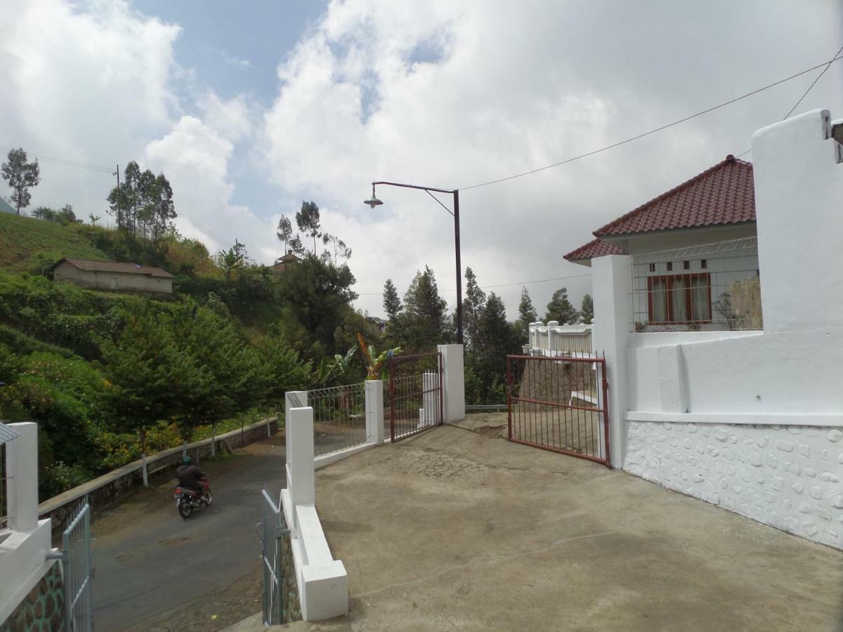 Savana Guesthouse Bromo Bagian luar foto