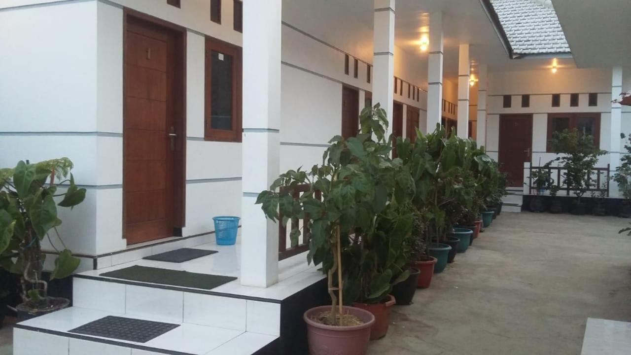 Savana Guesthouse Bromo Bagian luar foto